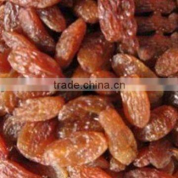 new good quality sultana raisin AAA