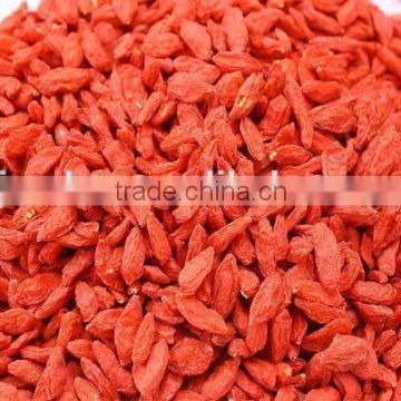 Goji berries/red medlar/Chinese Dried Medlar