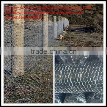 China Anping hot sale agriculture poultry hexagonal wire net for chicken