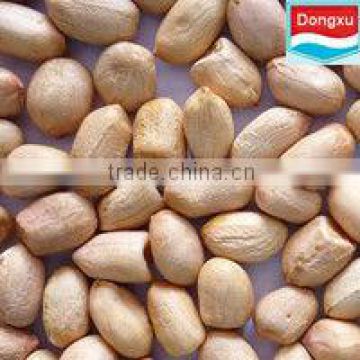 chinese organic groundnut kernels baisha