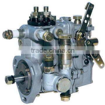 BH2QT85R9(2QT02) 2 cylinder Fuel Injection Pump