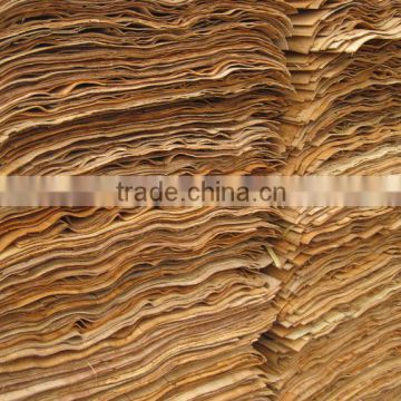 Eucalyptus Core Veneer for Plywood