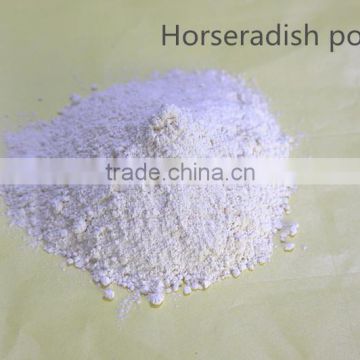 yuanyuan air dried horseradish powder 2014 new crop