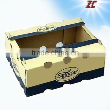 2013 Factory Direct Sale Strong Fruit Carton Box ,Fruit Cardboard Boxes for Sale, Carton Box for Fruits