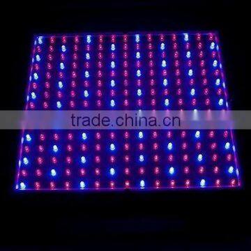 225 14w lettuce led grow light , rgb led grow light panel