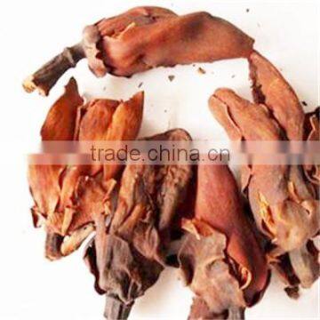 Origin From Chinese Hot Selling Dry Flos Magnolia Flower