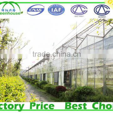 used commercial glass greenhouse for sale