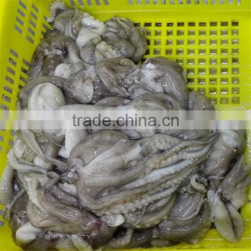 frozen cooked baby octopus with good service from superior provider