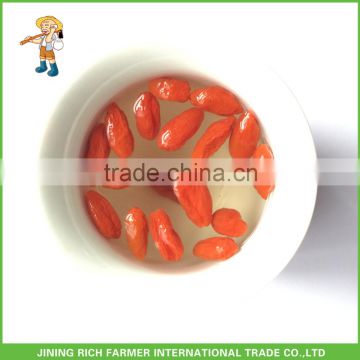 Free Sample Ningxia Chinese Dried Goji Berries