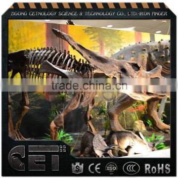 Cetnology-dinosaur playground equipment dinosaur skeleton model