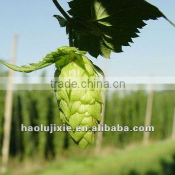 200L beer brewery equipment, pub brewing equipment, hotel brewing equipment,beer making equipment