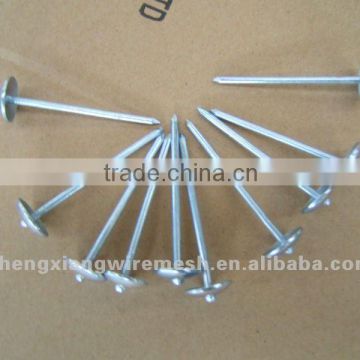 umbrella roofing nails /hot dipped /electro galvanized