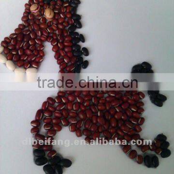 Adzuki Bean/Small Red Beans( New crop,Heilongjiang origin, Hps ,Polished)