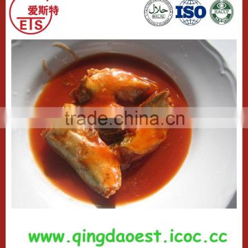 Canned mackerel in tomato sauce from factory with best quality