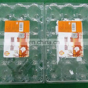 Professional factory meat trays top bottom labeling machine