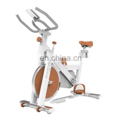 SD-S79 Small MOQ Home gym fitness equipment cardio master training spinning bike
