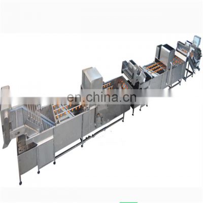 fully stainless steel canned mushroom production line
