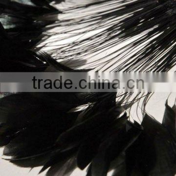 black stripped coque feathers LZXZ00290C