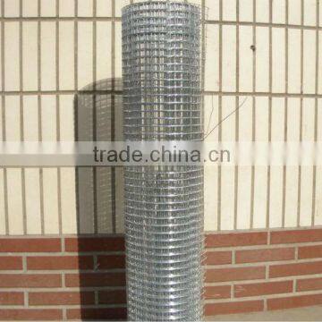 Cheap galvanized/PVC coated welded wire mesh ISO9001 factory