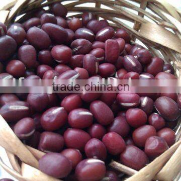 Adzuki Bean( 2012 crop, Heilongjiang origin, hps)