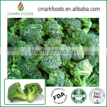 High quality 100% nature fresh brocooli wholesales price