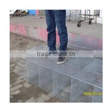 Sale Breeding Mink wire Mesh