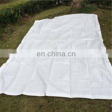 Cheap pe fabric blue tarpaulin for ground cover
