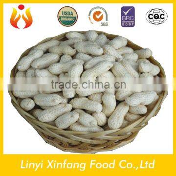 Chinese goods egyptian peanuts raw peanuts prices