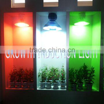 Perfect growth induction lamp 40w-300w