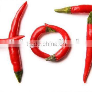 Dry chilli/dry hot chilli