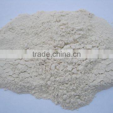 White Onion Powder