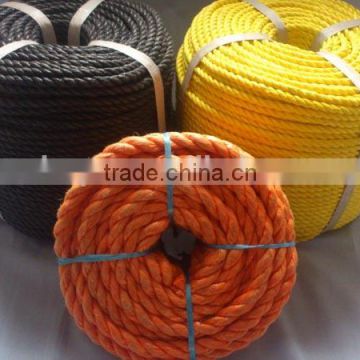 Twisted rope Type fishing rope PP danline rope