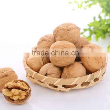 Natural Thin skin organic Walnuts