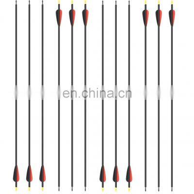 12 Pack Mix Carbon Archery  Hunting Arrows 100 Grain Points for bow arrow bow  and green arrow set