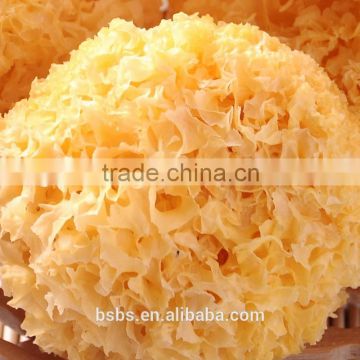 Low Price Tremella Chinese White Fungus