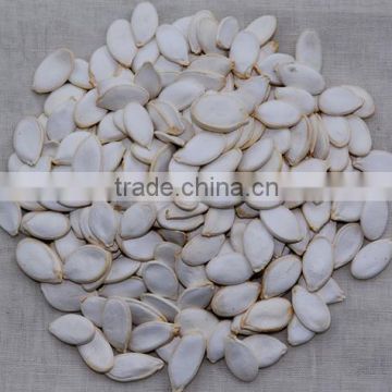 Snow White Pumpkin Seeds , Sesame Seed , Egussi Seed for Sale