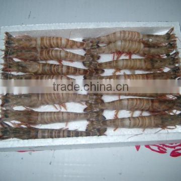 Zhoushan ship frozen marsupenaeus japonicus (shrimp kind)