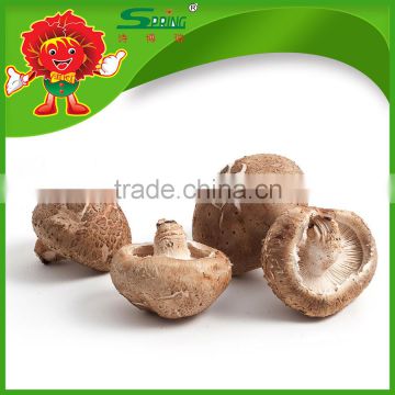 Factory supply Chinese fresh mushroom smooth mushroom with competitive export price
