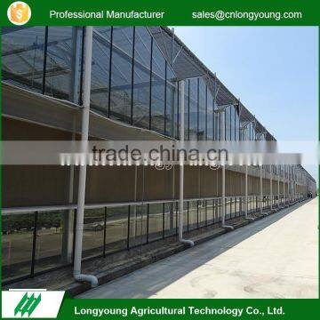 New arrival venlo structure shading polycarbonate greenhouse glass