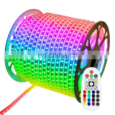 Christmas Decoration Outdoor Color Changing Music APP Remote Control LED RGB String Light color light Luminous Custom Party