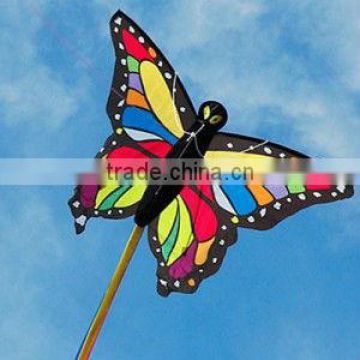 beautiful butterfly kite