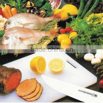 home used antibacterial chopping board PE