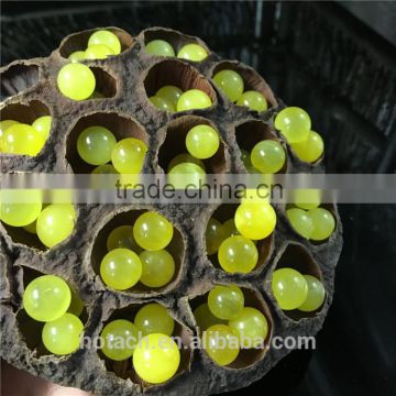 allibaba com wholesale neutral amber fashion jewelry amber beads