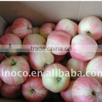 Royal Gala Apple With Super Quality