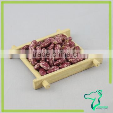 All Variety Red Speckled Kidney Beans Polishing