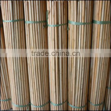 smooth wooden handle broom stick with well straight