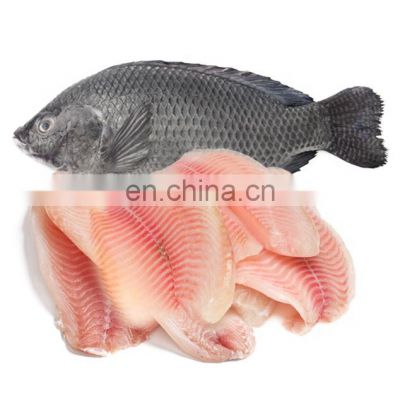 IQF frozen black tilapia fish