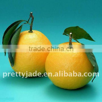 Chinese fresh honey pomelo with low prices