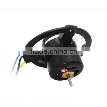 Brushed DC Motor with High Voltage fo Hair Dryer