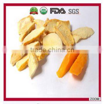 High Quality Sweet Freeze Dried Mango/ Freeze Dried Mango Slice in Bulk